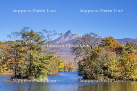 大沼の紅葉と駒ヶ岳