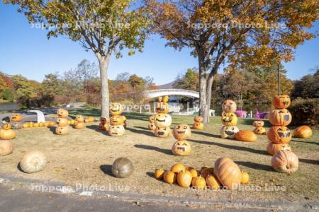 大沼公園のハロウィン