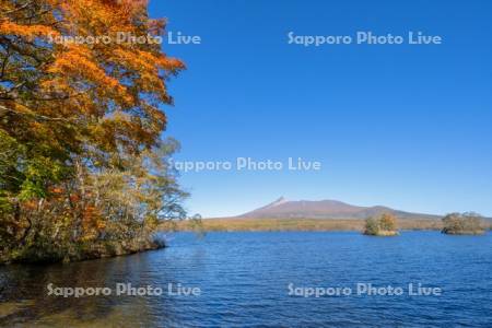 大沼の紅葉と駒ヶ岳