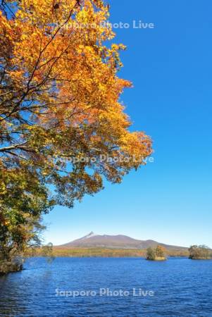 大沼の紅葉と駒ヶ岳