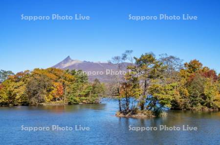 大沼の紅葉と駒ヶ岳