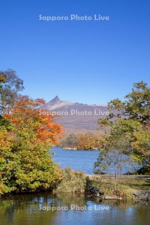 大沼の紅葉と駒ヶ岳