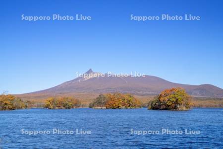 大沼の紅葉と駒ヶ岳