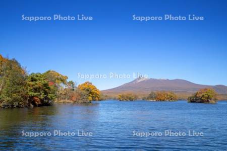 大沼の紅葉と駒ヶ岳