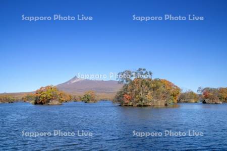 大沼の紅葉と駒ヶ岳