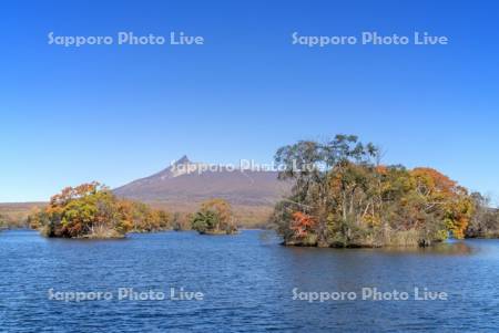 大沼の紅葉と駒ヶ岳