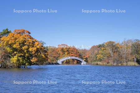 大沼の紅葉と駒ヶ岳