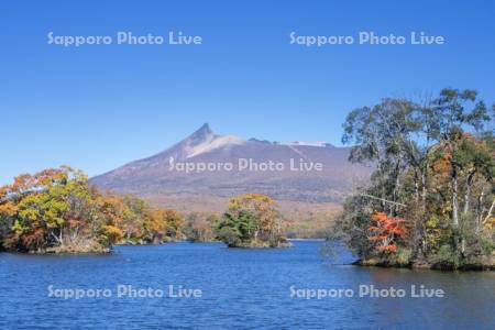 大沼の紅葉と駒ヶ岳