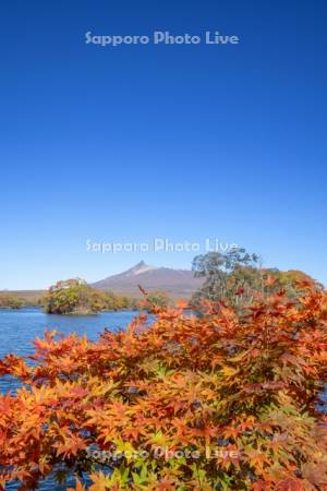 大沼の紅葉と駒ヶ岳