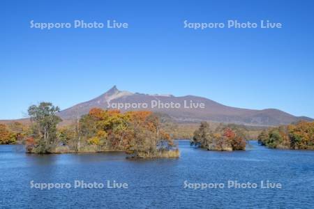 大沼の紅葉と駒ヶ岳