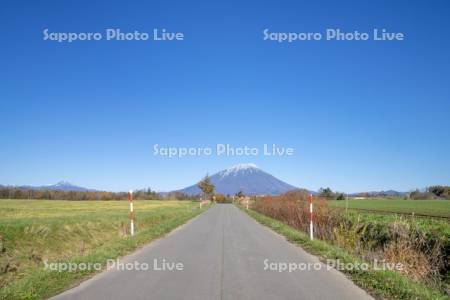 道路と羊蹄山