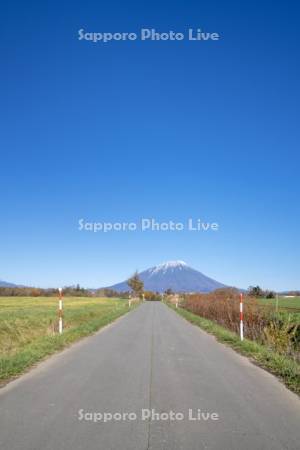 道路と羊蹄山