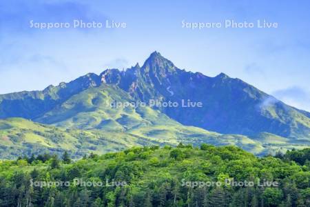 夏の利尻山