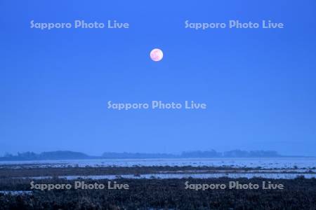 満月（ワームムーン）とサロベツ原野