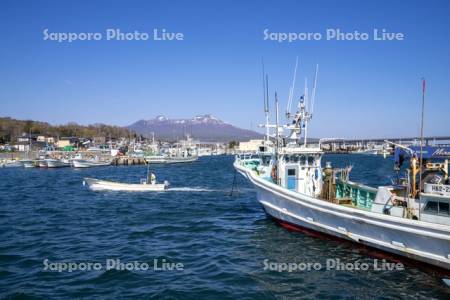 駒ヶ岳と鹿部漁港