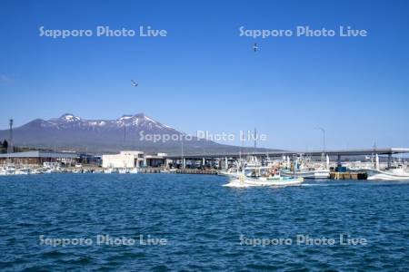 駒ヶ岳と鹿部漁港