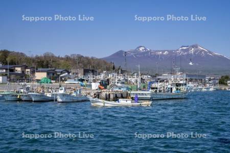 駒ヶ岳と鹿部漁港