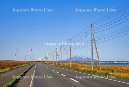 国道238号線と利尻富士