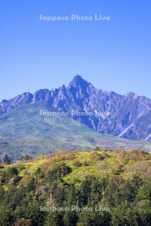 紅葉の利尻山