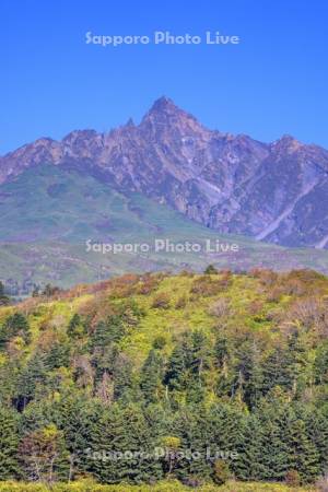 紅葉の利尻山