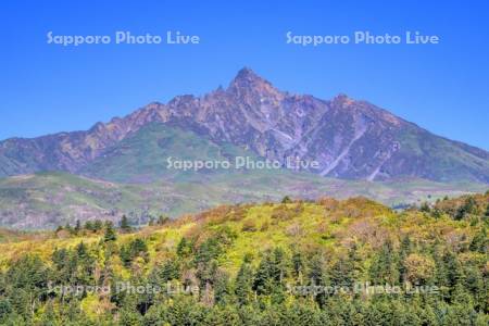 紅葉の利尻山