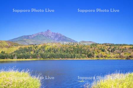 オタトマリ沼と利尻山