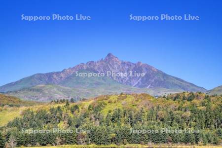 紅葉の利尻山