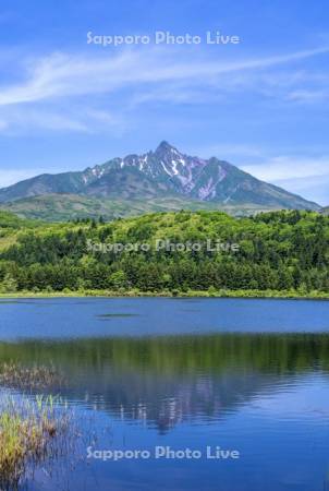 オタトマリ沼と利尻山