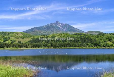 オタトマリ沼と利尻山