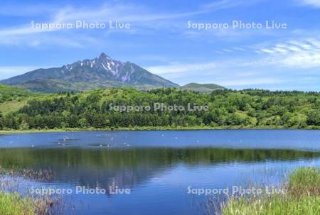 オタトマリ沼と利尻山