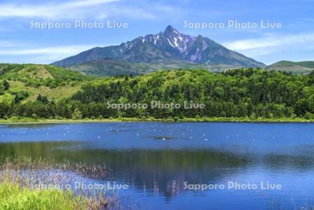 オタトマリ沼と利尻山