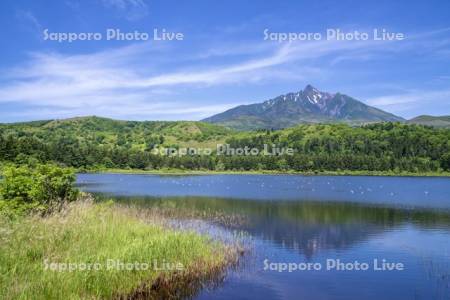 オタトマリ沼と利尻山