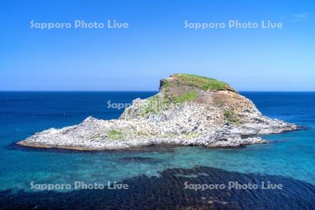ポンモシリ島