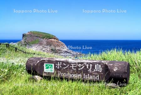ポンモシリ島