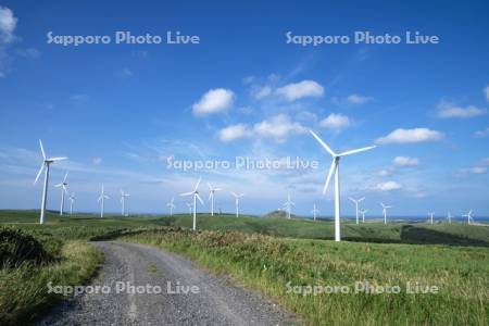 宗谷丘陵の風力発電