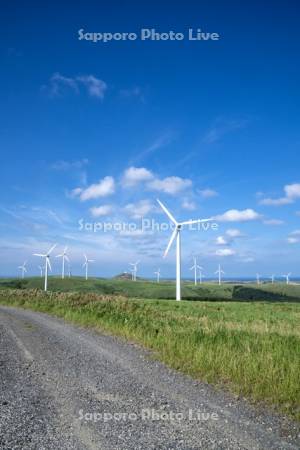 宗谷丘陵の風力発電