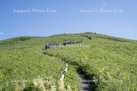 桃岩展望台コースと利尻島