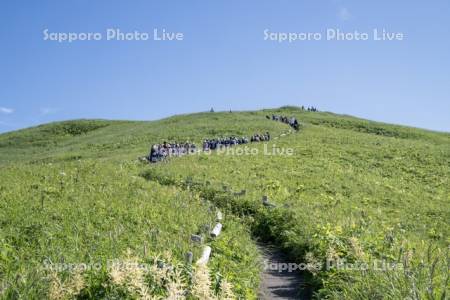 桃岩展望台コースと利尻島