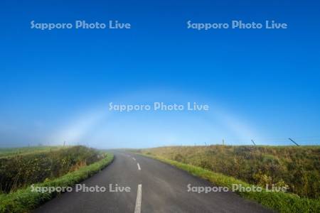 白虹と道路