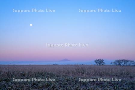 朝焼けのサロベツ湿原と利尻島