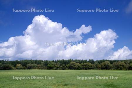 牧場と雲