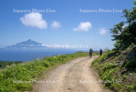 礼文林道と利尻島