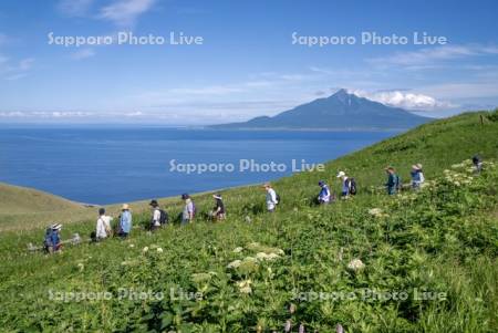 桃岩展望台コースと利尻島