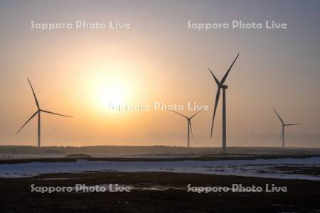 朝陽と浜里ウインドファーム