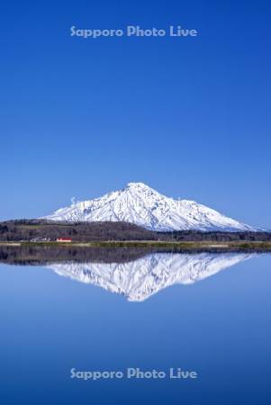 雪解けの畑と利尻山の水鏡