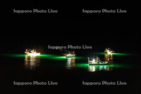 コウナゴ漁