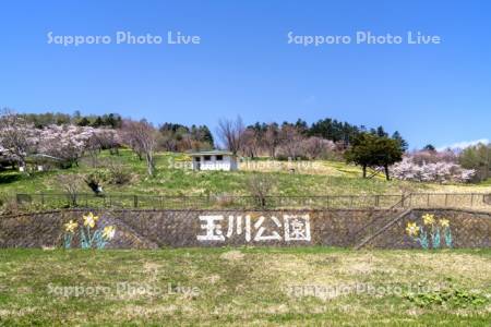 玉川公園