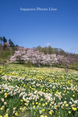 玉川公園