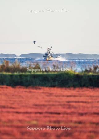 サンゴ草と漁船