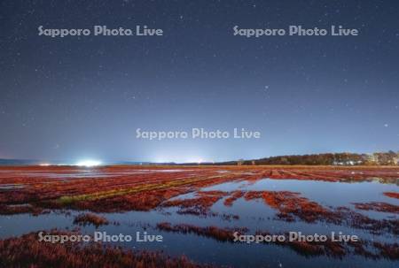 能取湖のサンゴ草と星空